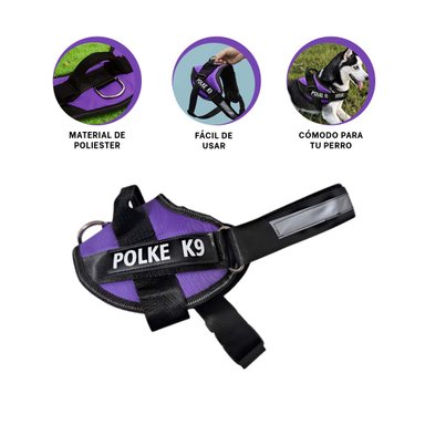 PACK4 CORREA PARA PERROS MORADO Y+BANDERITAS ADHESIVAS