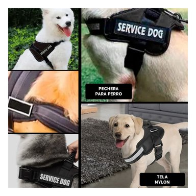 PACK4 CHALECO PENSADO PARA PERROS EN NEGRO Y+REGALO AGENDITA