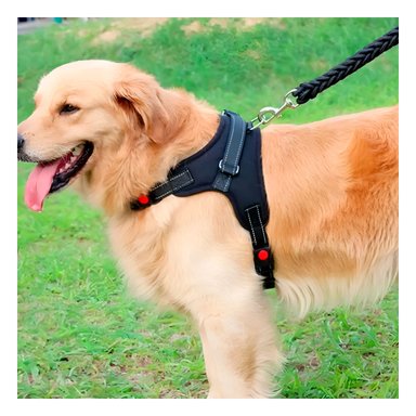 PACK2 ARNES PARA MASCOTAS CON FORMA H Y TALLA M EN NEGRO
