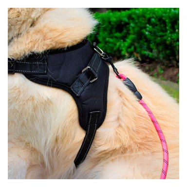 PACK2 ARNES DE FORMA H EN M NEGRO Y+BANDERITAS ADHESIVAS