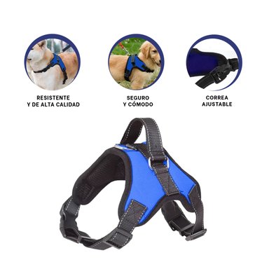 PACK4 PECHERA AJUSTABLE CON FORMA H EN MODELO AZUL