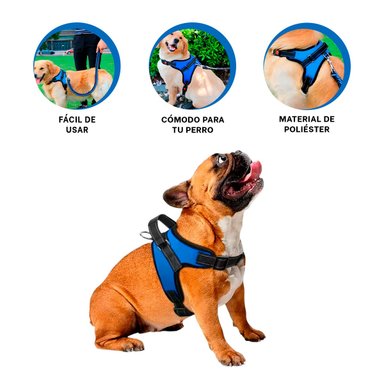 PACK4 CHALECO PARA PASEO EN AZUL Y+BANDERITAS ADHESIVAS