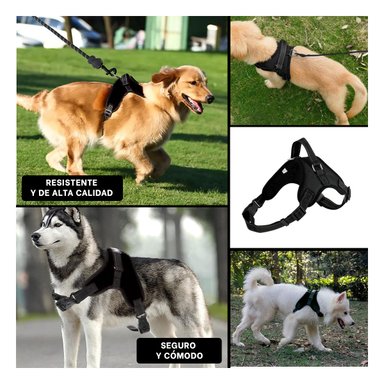 PACK6 ARNES PARA PERROS TALLA S EN NEGRO Y+LIGAS DE REGALO