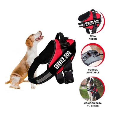 PACK2 ARNES PRACTICO EN M ROJO Y+REGALO STICKERS