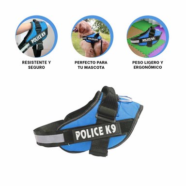 PACK4 CORREA PRACTICA EN COLOR CELESTE Y+LIGAS DE REGALO