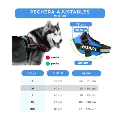 PACK4 CHALECO RESISTENTE EN CELESTE Y+REGALO STICKERS