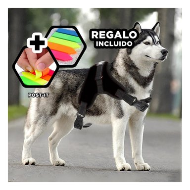 PACK12 PECHERA EN H Y TALLA S NEGRO Y+BANDERITAS ADHESIVAS