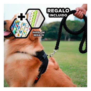 PACK12 PECHERA PARA MASCOTA Y LIGERO NEGRO Y+PAPEL DE REGALO