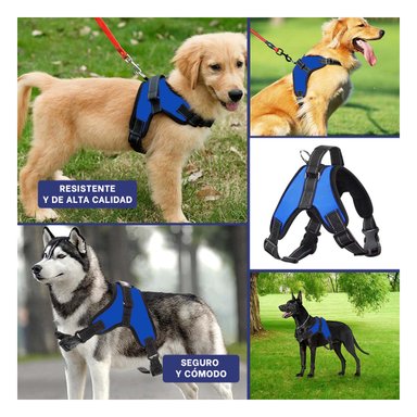 PACK6 ARNES PARA PERROS TALLA S EN AZUL Y+LIGAS DE REGALO