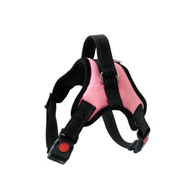 PACK2 ARNES PARA MASCOTAS CON FORMA H Y TALLA S EN ROSADO