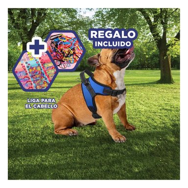 PACK12 PECHERA DE PET PARA PASEO EN S AZUL Y+LIGAS DE REGALO