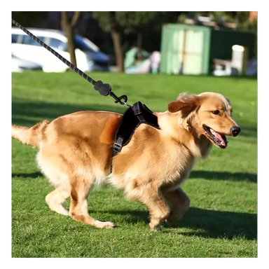 PACK4 CHALECO PARA PASEO EN NEGRO Y+BANDERITAS ADHESIVAS