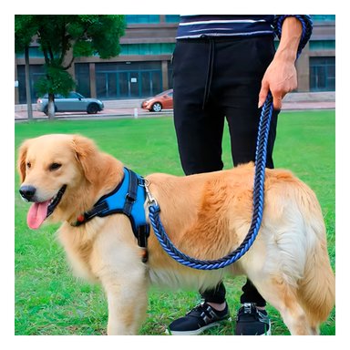 PACK4 PECHERA AJUSTABLE CON FORMA H EN MODELO AZUL