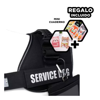 PACK12 CHALECO CON ENGANCHE EN NEGRO Y+REGALO AGENDITA