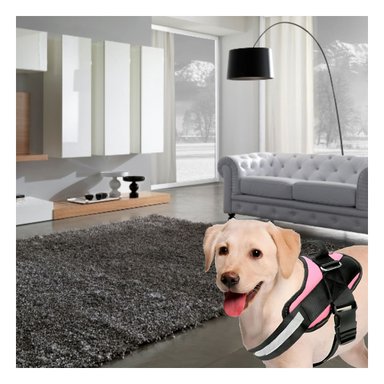 PACK6 CORREA DE ASISTENCIA PARA PERROS EN TALLA M ROSADO