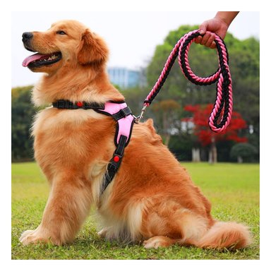 PACK6 CHALECO PARA MASCOTAS DE FORMA H EN COLOR ROSADO