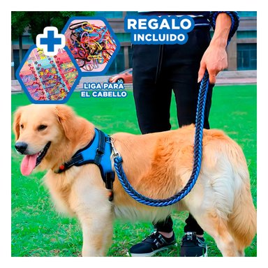 PACK6 ARNES PARA PERROS TALLA M EN AZUL Y+LIGAS DE REGALO