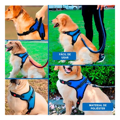 PACK6 ARNES PARA PET DE TALLA M EN AZUL Y+REGALO AGENDITA