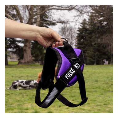 PACK4 CHALECO DE CONTROL SEGURO MORADO Y+PAPEL DE REGALO