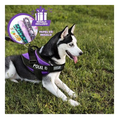 PACK12 CHALECO DE ASISTENCIA EN MORADO Y+PAPEL DE REGALO