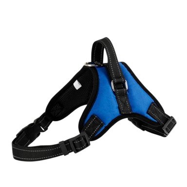 ARNES PARA MASCOTAS CON FORMA H Y TALLA M EN COLOR AZUL