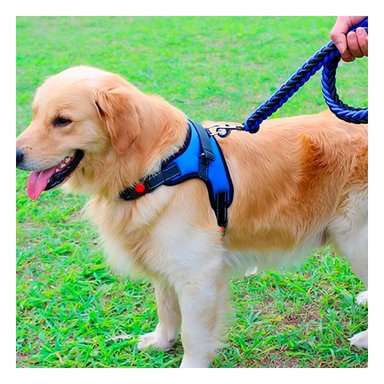 PACK4 PECHERA SEGURO PARA PERROS EN AZUL Y+PAPEL DE REGALO