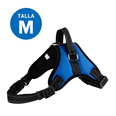 PACK4 PECHERA DE PET PARA PASEO EN M AZUL Y+REGALO STICKERS