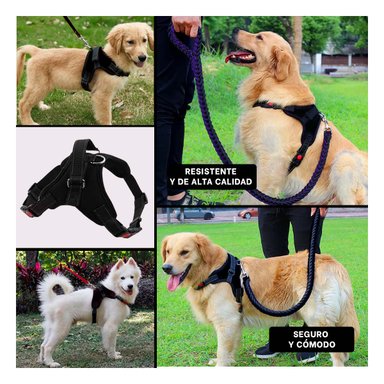PACK6 ARNES SEGURO PARA PERROS NEGRO Y+BANDERITAS ADHESIVAS