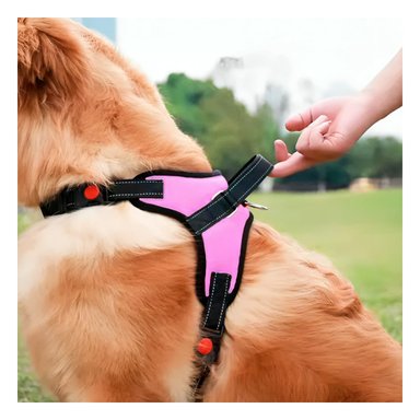 PACK4 PECHERA CON FORMA H Y TALLA S ROSADO Y+REGALO AGENDITA