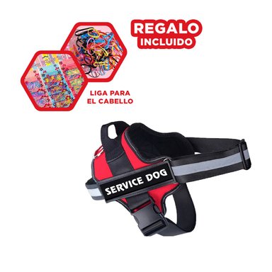 PACK4 CORREA PRACTICA EN COLOR ROJO Y+LIGAS DE REGALO