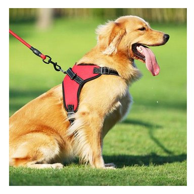 PACK6 ARNES CON PECHERA AJUSTABLE EN ROJO Y+REGALO STICKERS