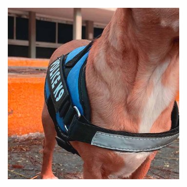 PACK2 ARNES AJUSTABLE EN COLOR CELESTE Y+PAPEL DE REGALO