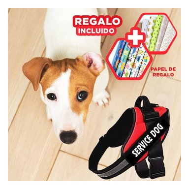 PACK12 CHALECO DE ASISTENCIA EN ROJO Y+PAPEL DE REGALO