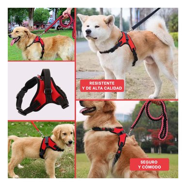 PACK6 ARNES SEGURO PARA PERROS ROJO Y+BANDERITAS ADHESIVAS