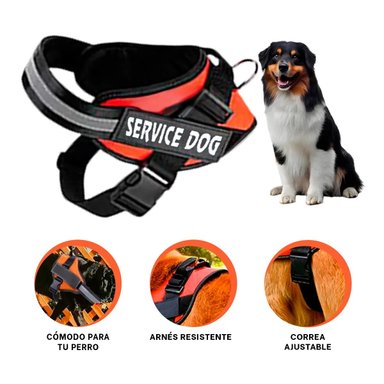 PACK2 CHALECO DE ASISTENCIA EN ANARANJADO Y+LIGAS DE REGALO