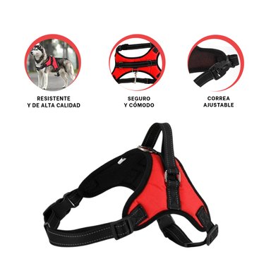 PACK4 PECHERA AJUSTABLE CON FORMA H EN MODELO ROJO