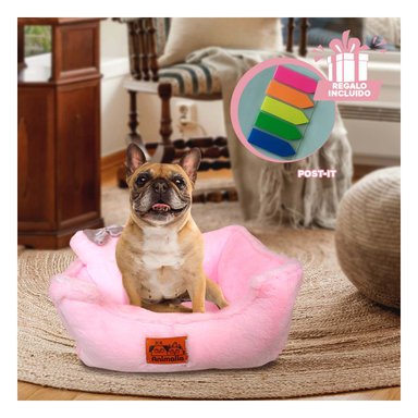 CAMASTRO ELEVADO CON COJIN LAZO ROSADO Y+POST-IT ADHESIVOS