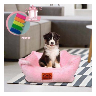 CAMASTRO ELEVADO CON COJIN LAZO ROSADO Y+POST-IT ADHESIVOS