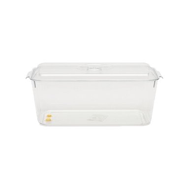 BANDEJA RECTANGULAR PARA FRUTAS Y VERDURAS CON ASAS 30X20X10CM TRANSPARENTE Y+PAPEL REGALO - 1