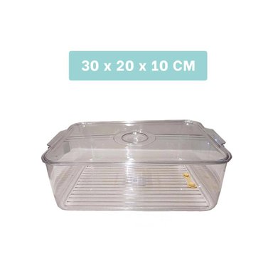 BANDEJA RECTANGULAR PARA FRUTAS Y VERDURAS CON ASAS 30X20X10CM TRANSPARENTE Y+PAPEL REGALO - 4