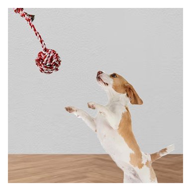 PACK4 IMPLEMENTO DE JUEGO CON PELOTA Y SOGA ROSADO ROJO Y+REGALO STICKER - 5