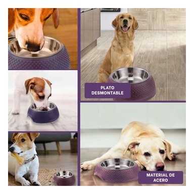 RECIPIENTE DE MESA CON ESTRUCTURA AJUSTABLE EN ACERO PURPURA Y+LIGAS REGALO - 5