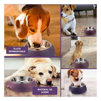 PACK4 TAZON PARA MASCOTAS EN ACERO CON CORAZONES EN RELIEVE PURPURA Y+REGALO STICKER - 2