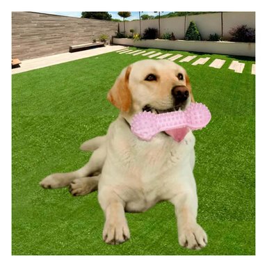 PACK4 APARATO DE JUEGO ROSADO PARA MASCOTAS PESA CON PUNTAS SEGURAS Y+PAPEL REGALO - 2