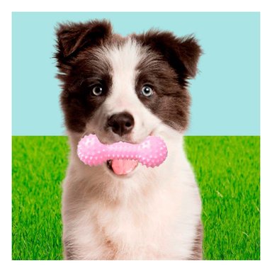 PACK4 APARATO DE JUEGO ROSADO PARA MASCOTAS PESA CON PUNTAS SEGURAS Y+PAPEL REGALO - 5
