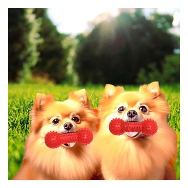 PACK6 APARATO ROJO PARA MASCOTAS FORMA DE PESA SEGURO Y DIVERTIDO Y+PAPEL REGALO - 5