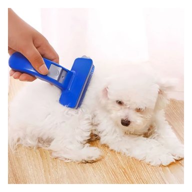 PACK4 APARATO PEQUENO AZUL PARA MASCOTAS CON CEPILLO LIMPIEZA FACIL - 2