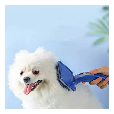PACK4 APARATO AUTOLIMPIANTE PEQUENO PLASTICO AZUL PARA MASCOTAS DURADERO Y+PAPEL REGALO - 5