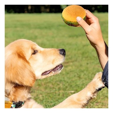 PACK6 DISPOSITIVO DIVERTIDO DE GOMA PARA MASCOTAS AMARILLO DE HAMBURGUESA Y+PAPEL REGALO - 5