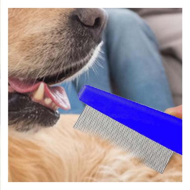 PACK6 ELIMINADOR ANTIPULGAS PARA MASCOTAS AZUL SEGURO Y EFICAZ - 2